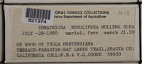 Image Associated With the Occurence